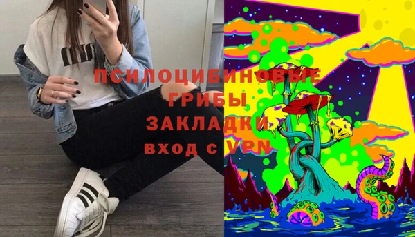 mdma Бородино