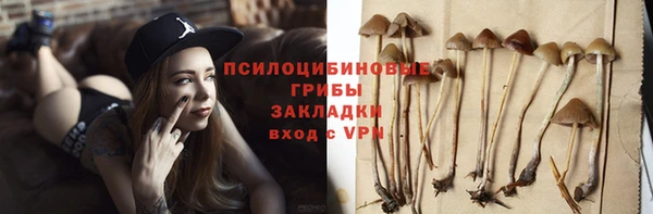 скорость Бронницы