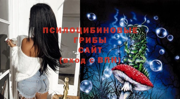 mdma Бородино