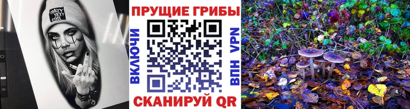 Галлюциногенные грибы Magic Shrooms Нижневартовск